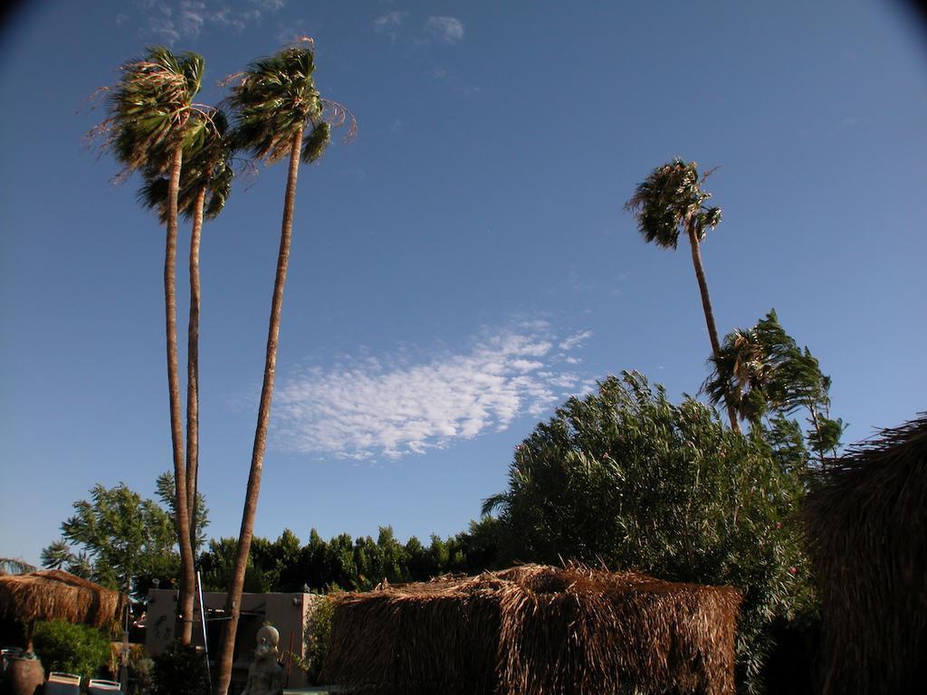 Sea Mountain Nude Resort & Spa Hotel - Adults Only Desert Hot Springs Bagian luar foto